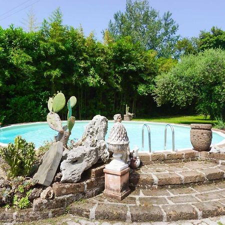 La Bouganville - Piscina E Relax Camaiore Exterior photo
